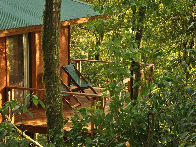 Mocona Virgin Lodge Сальтос-дель-Мокона Удобства фото