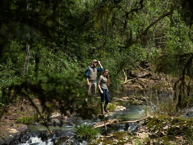 Mocona Virgin Lodge Сальтос-дель-Мокона Удобства фото